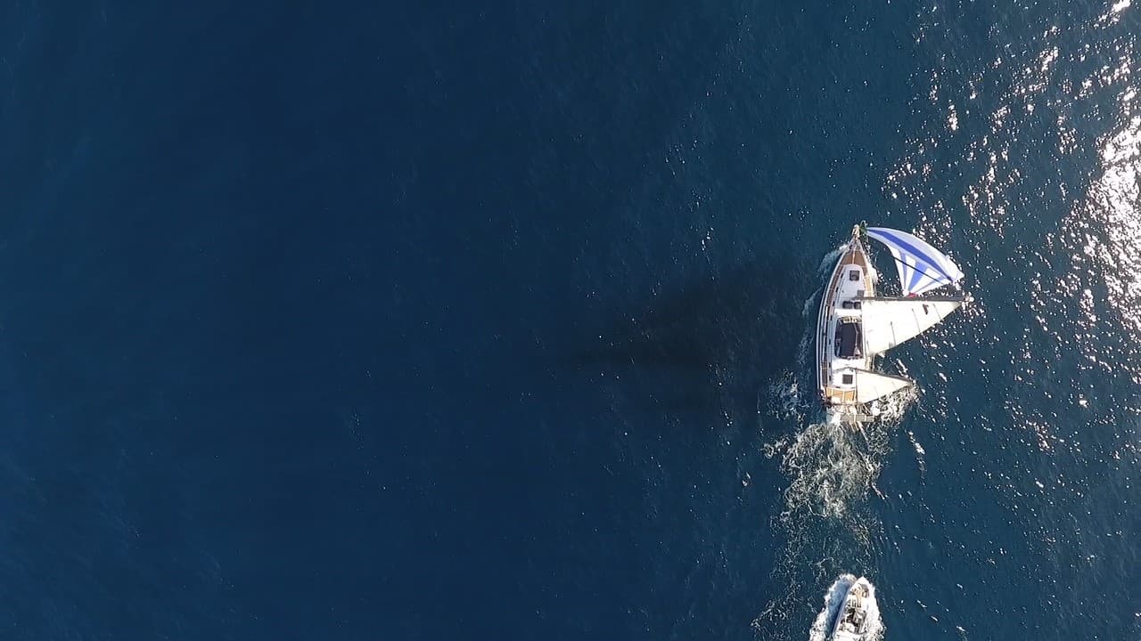 Motovelero Toro — imagen 3